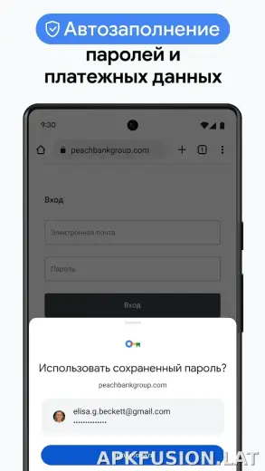 Google Chrome скриншот 6